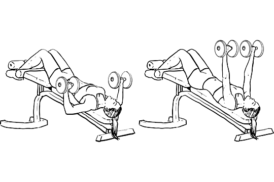 Decline Dumbell Bench Press Decline Dumbell Bench Press